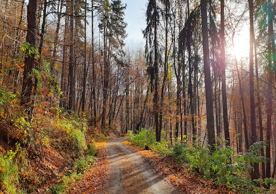 Sinaia ATV - Rezerva la pret de 200 RON/ora/ATV
